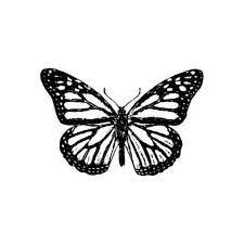 Pin By Marlene Eycele On Tats Butterfly Tattoo Cute Tattoos Tattoos