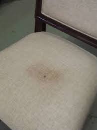 The pressurized high temperature will easily loosen and dissolve grime, grease, and dirt. Clean Stained Linen Dining Room Chair Seat Before And After Pictures Fibercare Cleaning And Storage