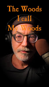 A walk in the rainy woods with three magnificent ideas pitched! One