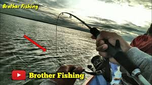 Tehnik ini biasa dilakukan pada malam hari. Panen Baru Kali Ini Mancing Ditarik Kakap Tompel Kuat Banget Mancing Kakap Tompel Jenahak Youtube
