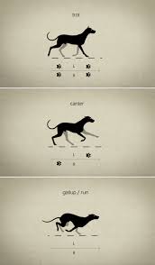 Reference Animation Animation Art Animation Animation Reference