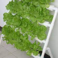4 Layer 36 Sites Hydroponic System Kit Ebb Flow Djupvattenkultur Dwc Grow Kit Planting Vegetable Aquaponics Aeroponics Aquaponics System