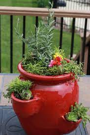 You can also make them out of wood, creating tiers in which more plants are added. Succulent Perennial Strawberry Pot Momcrieff