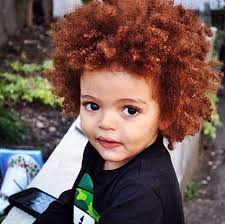 People with black or dark brown hair will probably have only eumelanin, or at least it will be the dominant pigment. 60 Black Ginger Ideas Natural Hair Styles Curly Hair Styles Redheads
