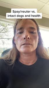 Neutered Vs Intact Great Dane