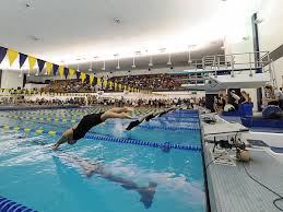 Swimming pool in with addresses, phone numbers, and reviews. Swimming And Diving Maintains Fifth Place At Zippy Invitational University Of Akron Athletics