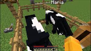 minecraft pferde zuchten und vermehren youtube