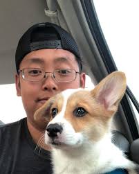 Cooper The Corgi (@cooper.cosmo.splooters) • Instagram photos and videos
