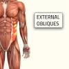 How to do rib cage stretch. 1