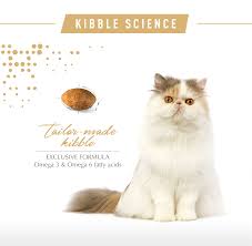 Kucing domestik atau kucing kampung juga mendapatkan kelebihan dari royal canin, yaitu bulu mereka dapat lebat jika makan royal canin. Royal Canin Adult Persian Makanan Kucing Dewasa Persia 2kg
