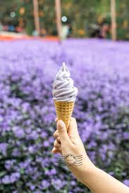 Bysun march 28, 2021april 1, 2021. Lavender Garden Cameron Highlands Pahang Crisp Of Life