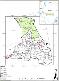 Image result for Phragmanthera usuiensis