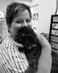 Shock and then awe-some turn-arounds for three neglected dogs