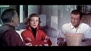 Image result for Oriental Red 1956 Wayne Works