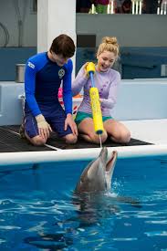 Winter starred in dolphin tale 1 and 2. Dolphin Tale 2 Trailer Dolphin Tale 2 Stars Harry Connick Jr And Ashley Judd