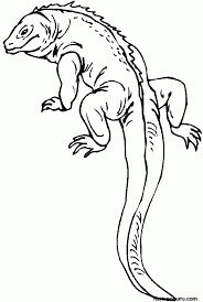 Children love to know how and why things wor. Coloring Pages Lizards Coloring Home