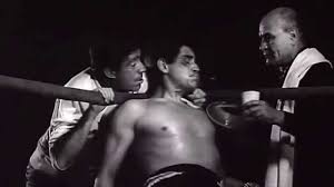 Risultati immagini per enea guarnacci