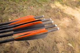 How To Pick The Right Crossbow Arrow For Any Scenario