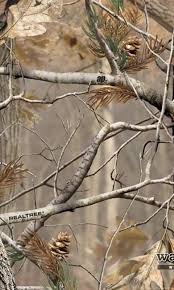 Browning maxus ii camo mossy oak bottomland 12 ga 26 3.5 shotgun Realtree Camo Wallpapers For Iphone Desktop Background