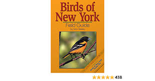 Identifying a bird is just a tap away with the peterson field guide to birds of new york. 5hymb7bxgtlsnm
