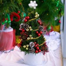 Please select your state below. Rosemary Christmas Tree Gaia Flowers Plants Gifts Local Delivery