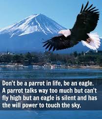 Cannot Fly Birds That Don T Fly Quotes Of The Day Don T Be A Parrot In Life Be An Eagle A Parrot Talks Way Too Much But Can T Fly High But An Eagle Is Eagles Talking Parrots