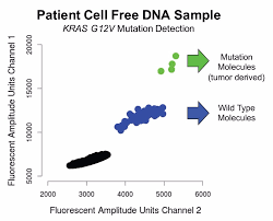 While there may not be a specific test for some cancers, things do change in your body that show up on tests. New Blood Test May Transform The Way Cancer Is Monitored And Treated