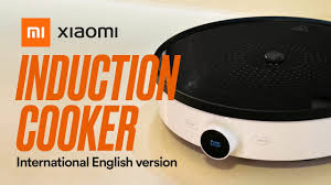 I backed on kickstarter in march and received it on 14 april and i've had 4 days a few. Sugawa Smart Cooker English By Shishoki