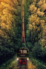 A Sydney Photographer By Mantas Kristijonas Kuliesis Train Train Rides Beautiful Landscapes