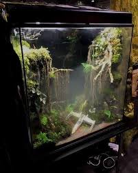 Paludarium Fish Tank Frog Terrarium Aquarium