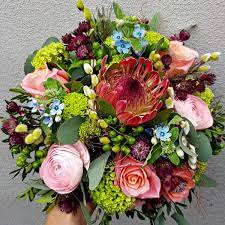 The proteaceae are prominent, with genera such as protea, leucospermum (the pincushions), and leucadendron (the silver tree and cone bushes). Designing With South African Flowers Article On Thursd