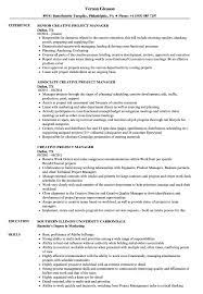 You will want to display these skills on your resume as it helps you pass the ats and employer review. Creative Project Manager Resume Samples Velvet Jobs