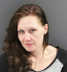 COURT UPDATE: Faribault woman charged with stealing $1,260 in public  benefits