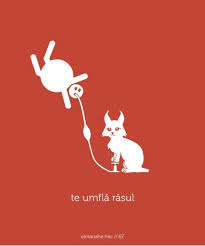 Pagesbusinessesmedia/news companyradio stationsmart radiovideoscine rade la urmă, rade mai bine. Te Umfla Rasul Home Decor Decals Fun Decor