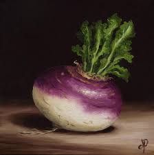 Purple Top Turnip J Palmer Daily Painting Original Oil Still Life Art Vegetable Painting Still Life Art Turnip