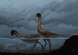 Halszkaraptor Is Known From An Almost Complete Skeleton Found Articulated In A Pose Almost As Though Prehistoric Animals Prehistoric Creatures Extinct Animals