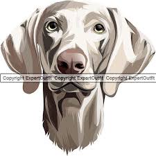 Weimaraner Dog Breed Smiling Puppy Animal Pet Hound Pedigree Etsy In 2020 Weimaraner Dogs Weimaraner Dog Breeds