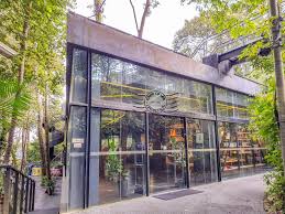 Free entrance for children under three (3) years old. Challenge Yourself Zipping Across Penang Highest Rainforest The Habitat Penang Hill Crisp Of Life