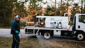 At buggsies pest services we offer pest management for a variety of location types, including, residential homes, apartment buildings, food establishments, stores this service is generally done in april, july, and october. Royal Pest Services Pest Termite Lawn