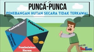 Skema kertas model 7 geografi stpm penggal 2 2016. Pembalakan Haram Group 1 Youtube