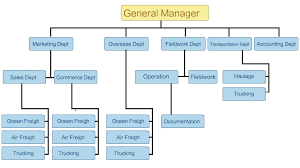 organizational structure of the confectionery fasrevolution