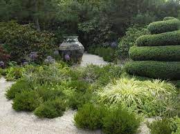 pin on les jardins agapanthe