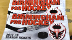 birmingham bulls hockey will drop the puck in pelham this