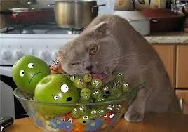 Cuando la reportera de televisión ángela vidal decide seguir por toda una noche a un grupo de bomberos una de las cintas más perturbadoras en la lista de películas de terror en streaming es el resplandor. Terror En La Cocina