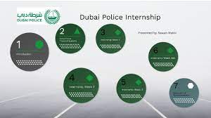 Dubai traffic fines search in title. Dubai Police Fine Installment Nbd