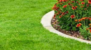 If you take really good care of the lawn where you live, the odds go down that you'll have to deal with being most lawns — though not all, i admit — respond well to tender love and care. Lawn Care Tips For Beginners