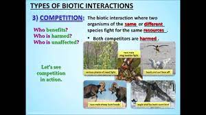 Biotic Interactions Powerpoint Tangstar Science Ecology Lessons Teaching Science High School Science