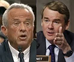 Liz Cheney/Adam Kinzinger Against Trump