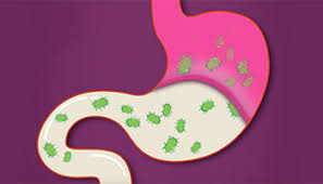 Loperamide may take anywhere between 2.5 and 5 hours to have an effect, although some effects are seen within 20 minutes. How Does Pepto Bismol Work As An Anti Diarrhea Medicine Pepto Bismol