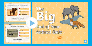 Why do zebras have stripes? The Big End Of Year Animal Powerpoint Ks1 Quiz